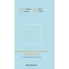 KNYGA Benenti Giuliano Principles Of Quantum Computation And Information: A Comprehensive Textbook