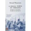 KNYGA Bernard Wasserstein Small Town in Ukraine