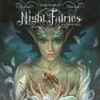 KNYGA Bookshop Night Fairies Calendar 2022