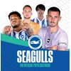 KNYGA Bookshop Official Seagulls Desk Calendar 2026