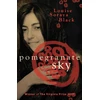 KNYGA Bookshop Pomegranate Sky
