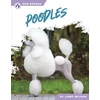 KNYGA Bookshop Poodles