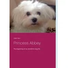 KNYGA Bookshop Princess Abbey