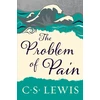 KNYGA Bookshop Problem of Pain