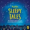 KNYGA Bookshop Puffin Sleepy Tales