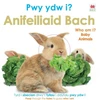 KNYGA Bookshop Pwy Ydw i? Anifeiliaid Bach / Who Am I? Baby Animals