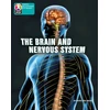 KNYGA Bookshop PYP L10 Brain and nervous system 6PK