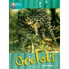 KNYGA Bookshop PYP L10 Ocelots 6PK
