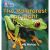 KNYGA Bookshop Rainforest at Night