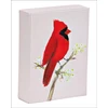 KNYGA Bookshop Raudona Cardinal Playing Cards