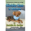 KNYGA Bookshop Richie Has a Home