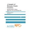 KNYGA Bookshop Sampler of Riemann-Finsler Geometry