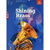 KNYGA Bookshop Shining Brass, Book 1