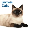 KNYGA Bookshop Siamese Cats Square Wall Sunday Start Ca