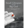 KNYGA Bookshop Small Glimpses of Our Big God