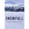 KNYGA Bookshop Snowfall