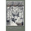 KNYGA Bookshop Spell in The Woods