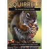 KNYGA Bookshop Squirrels