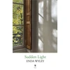 KNYGA Bookshop Sudden Light