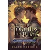 KNYGA Bookshop Teach the Torches to Burn: A Romeo &amp; Juliet Remix