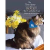 KNYGA Bookshop True Story of Rocky the Catholic Cat
