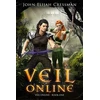 KNYGA Bookshop Veil Online - Book 1 (a LitRPG MMORPG Adventure Series)