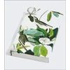 KNYGA Bookshop Warbling Flycatcher, James Audubon 8-Pen Set