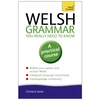 KNYGA Bookshop Welsh Grammar You Really Need to Know: Teach Yourself