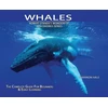 KNYGA Bookshop Whales, Library Edition Hardcover