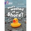 KNYGA Bookshop What's washed up on shore?