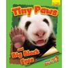 KNYGA Bookshop Whose Little Baby Are You? Tiny Paws and Big Juodas Eyes