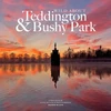 KNYGA Bookshop Wild about Teddington &amp; Bushy Park