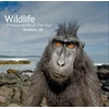 KNYGA Bookshop Wildlife Photographer of the Year: Portfolio 28