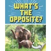 KNYGA Cari Meister What's the Opposite?