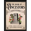 KNYGA Claire Goodchild The Book of Ancestors