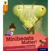 KNYGA Claire Llewellyn Oxford Reading Tree Explore with Biff, Chip and Kipper: Oxford Level 6: Minibeasts Matter!