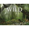 KNYGA Claudia Martin The Wild