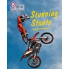 KNYGA Collins Big Cat Stunning Stunts