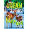 KNYGA Collins Big Collins Big Cat Urban Nature