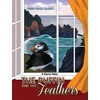 KNYGA Constance Clarke Puffin and his Feathers