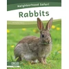 KNYGA Dalton Rains Rabbits