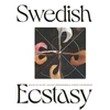 KNYGA Daniel Birnbaum Swedish Ecstasy