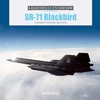 KNYGA David Doyle SR-71 Blackbird