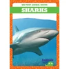 KNYGA Deniston Sharks