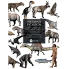 KNYGA Donald R Prothero Vertebrate Evolution