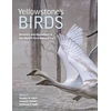 KNYGA Douglas W Smith Yellowstone’s Birds