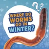 KNYGA Ellen Labrecque Where Do Worms Go in Winter?