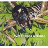KNYGA Gay Hay Weta Finds a Home