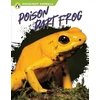 KNYGA Golriz Golkar Poison Dart Frog