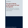 KNYGA Guy J Williams Spirit World in the Letters of Paul the Apostle
